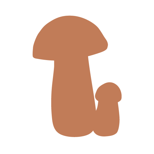 Personal Mycology logo