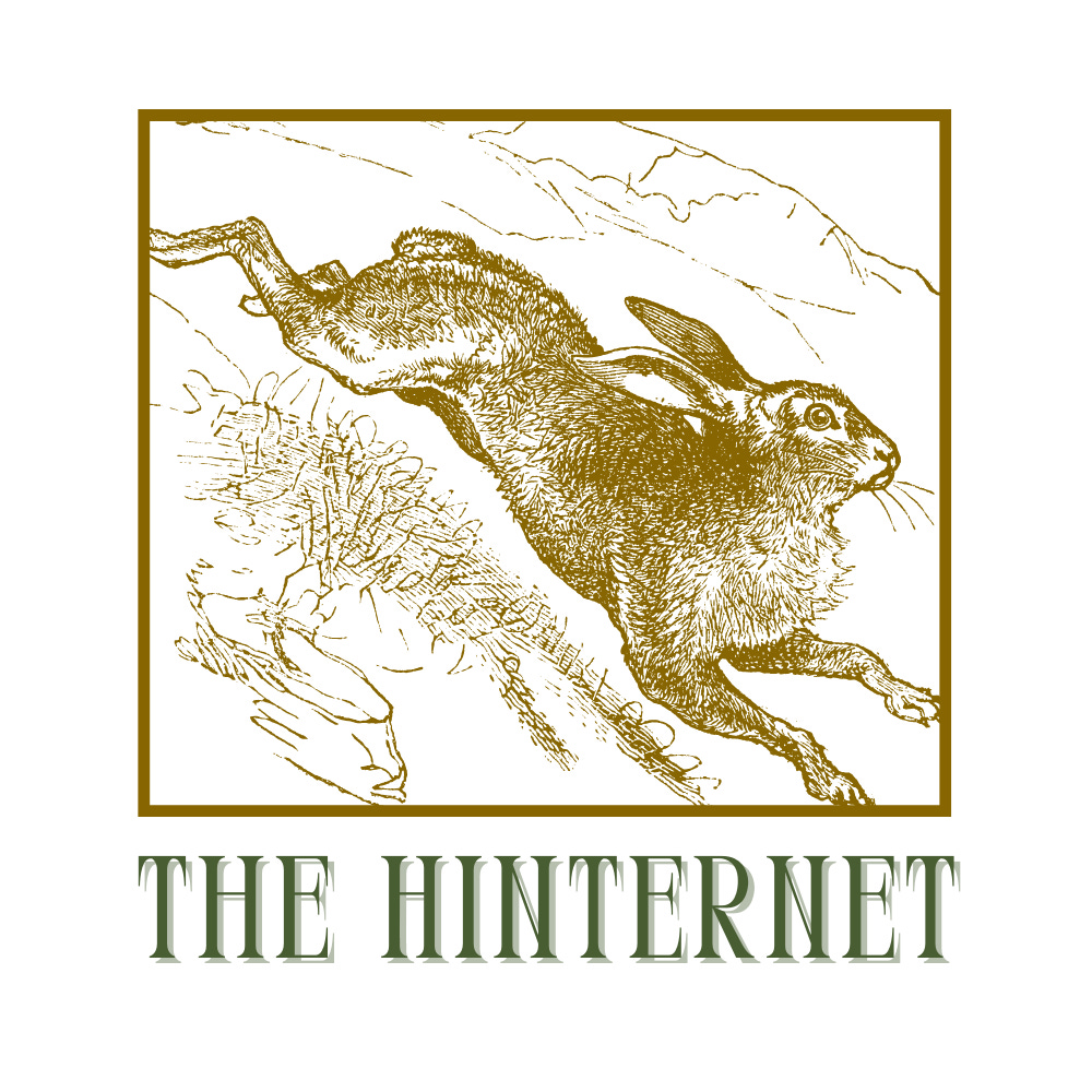 The Hinternet logo