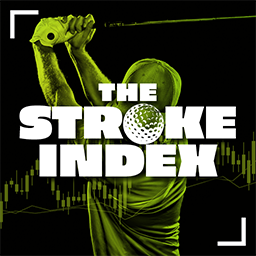 The Stroke Index logo