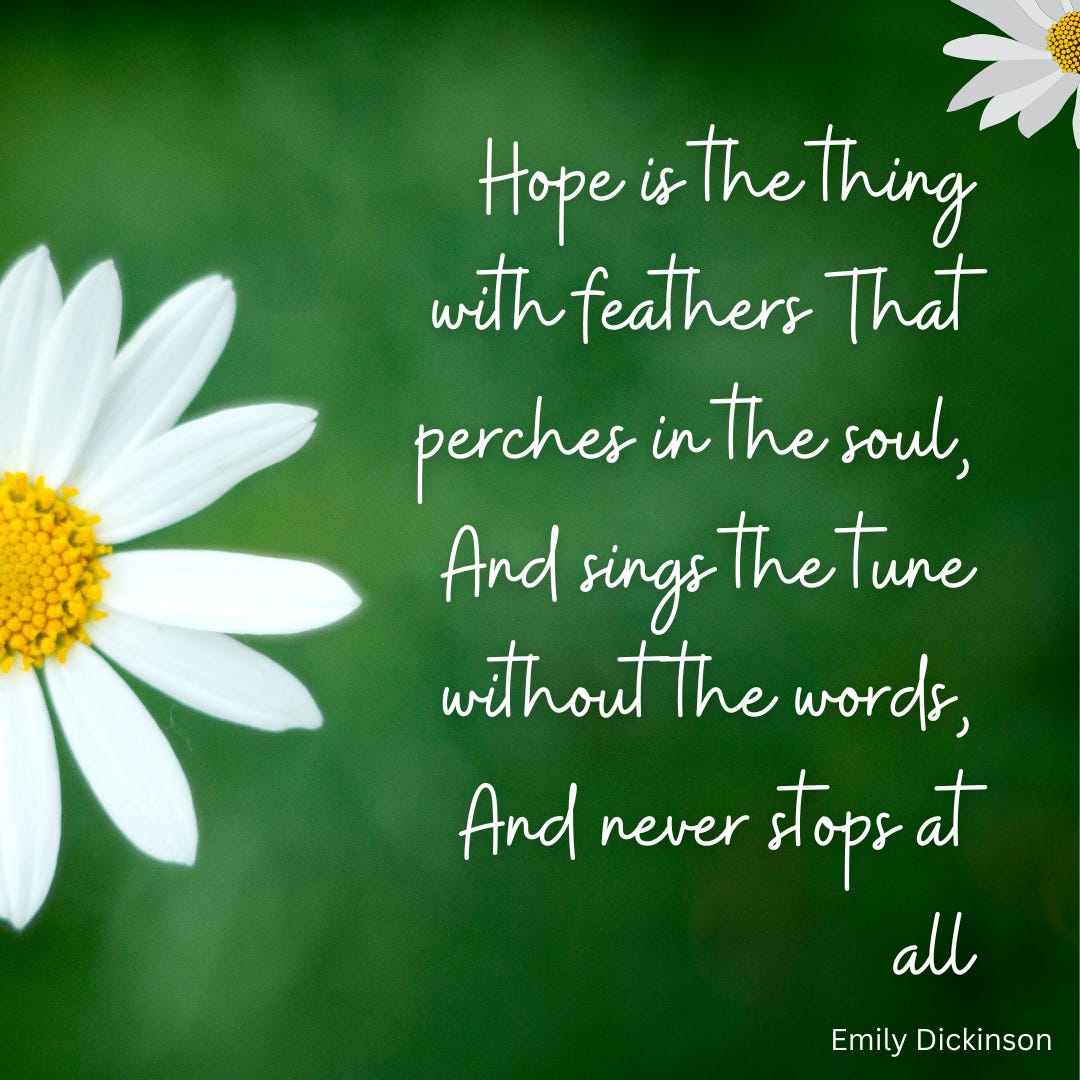 A Six-Pack of Hope - by Jessica Fein - Fein by me