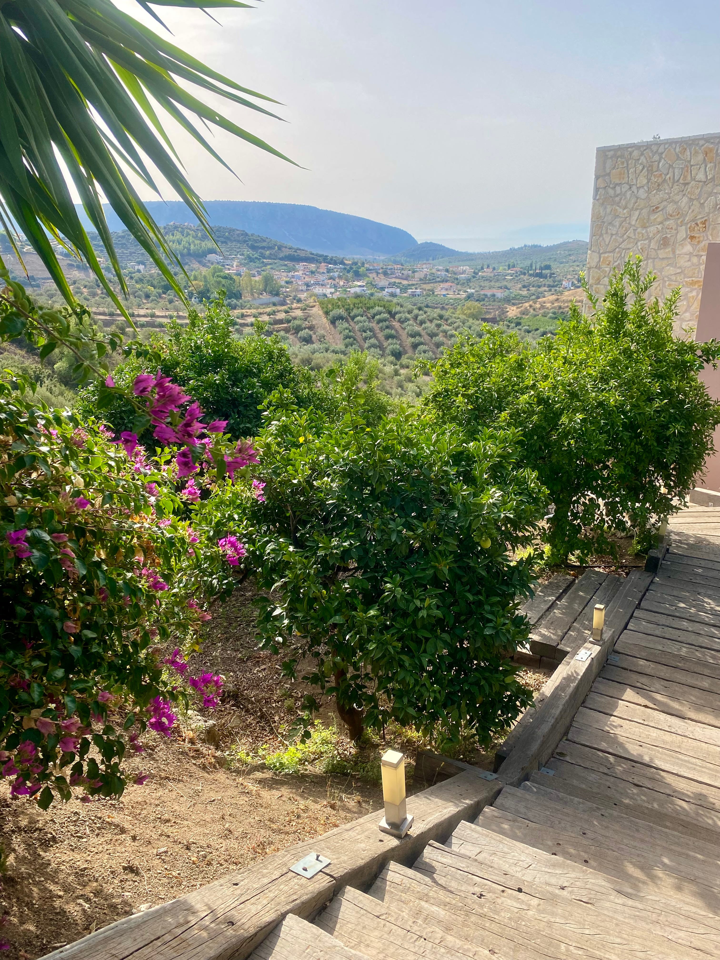 Friday Pyrgiotika by Silva & Black Silva’s Substack