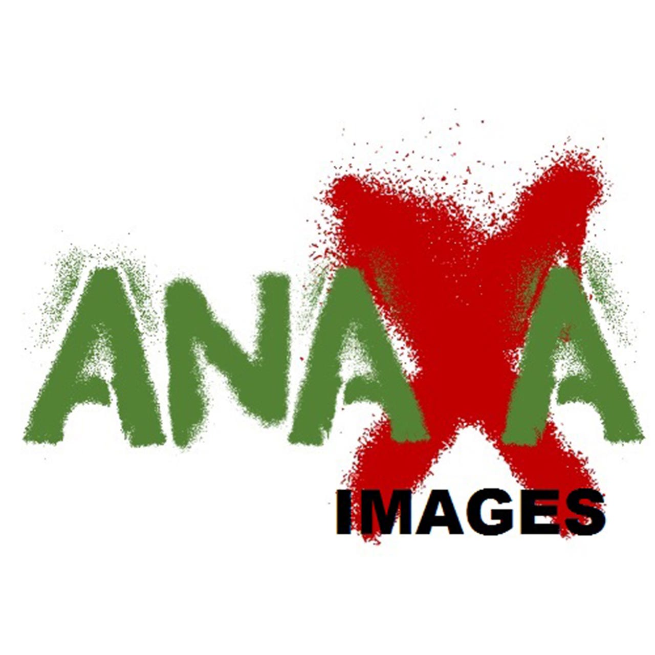 anaXa Images logo