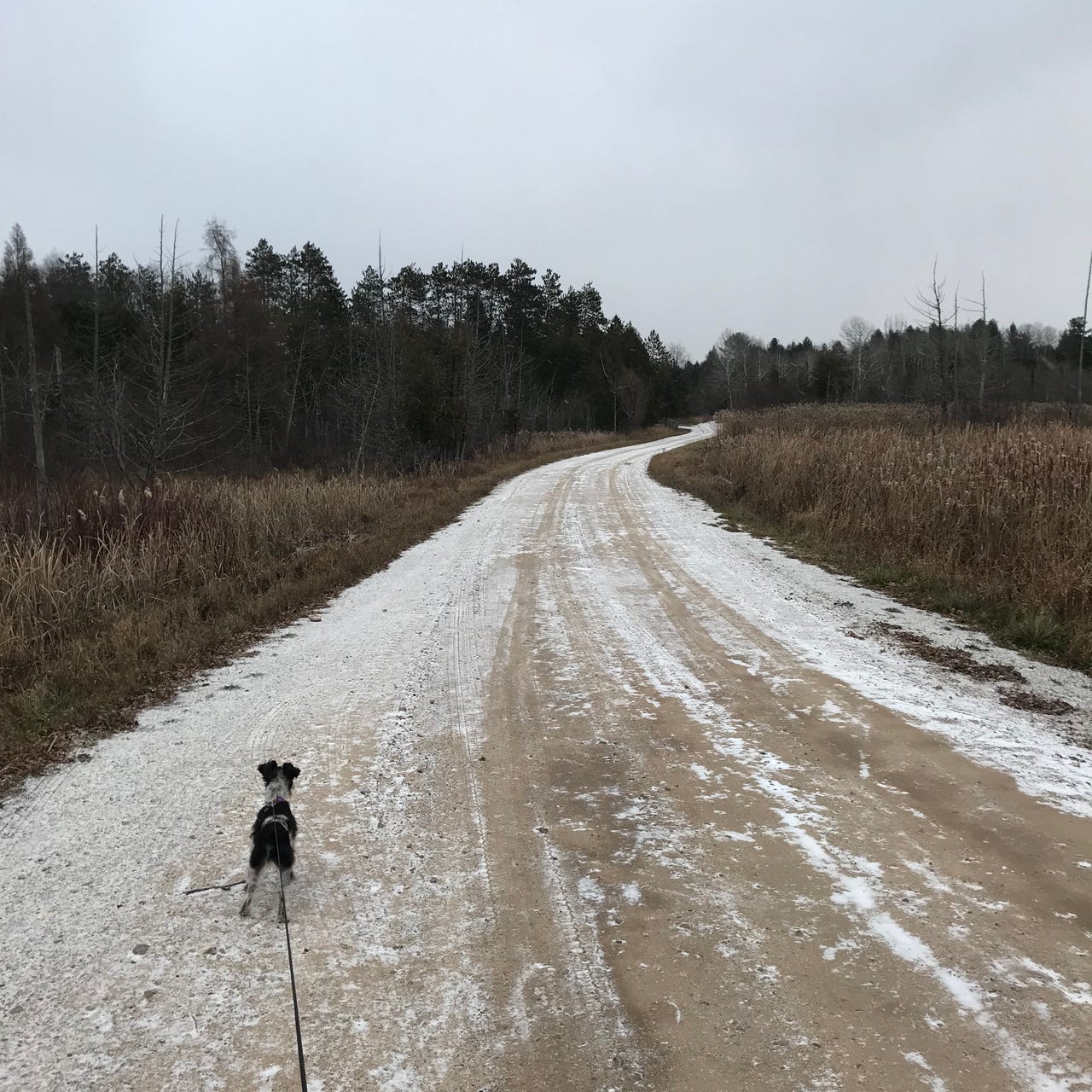 Life on a Dirt Road logo