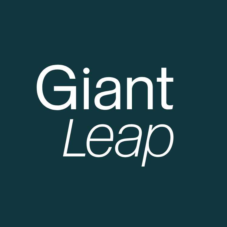 Artwork for Small Steps by Giant Leap
