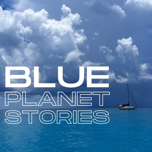 Artwork for Blue Planet