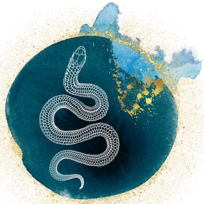the Matriz logo