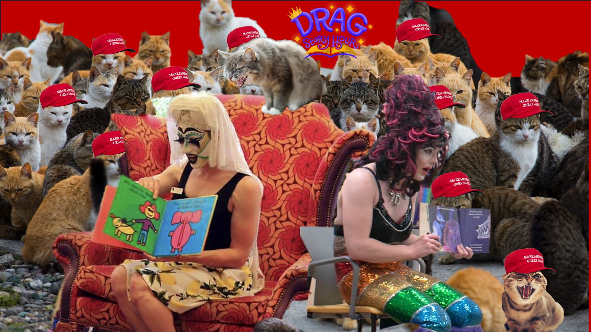 HOW I USED CAT VIDEOS TO A RIGHT WING GRIFTER