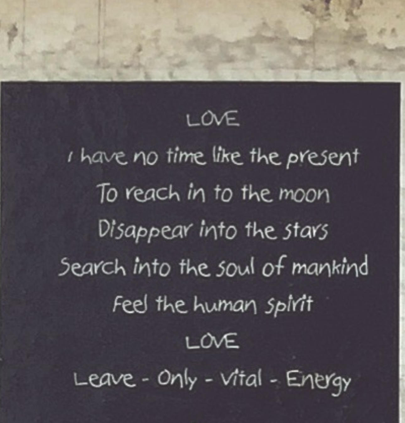 Leave Only Vital Energy