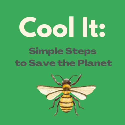 Artwork for Cool It: Simple Steps to Save the Planet
