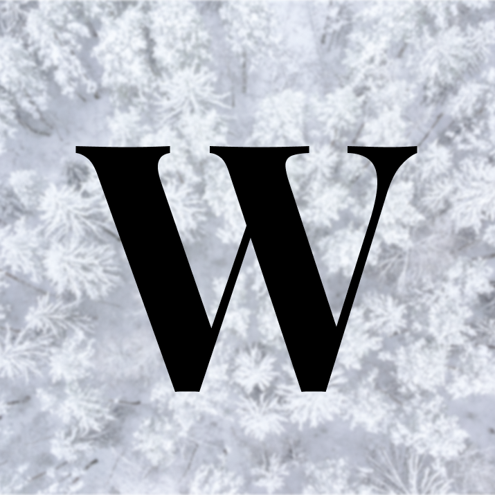 Whiteout Capital logo