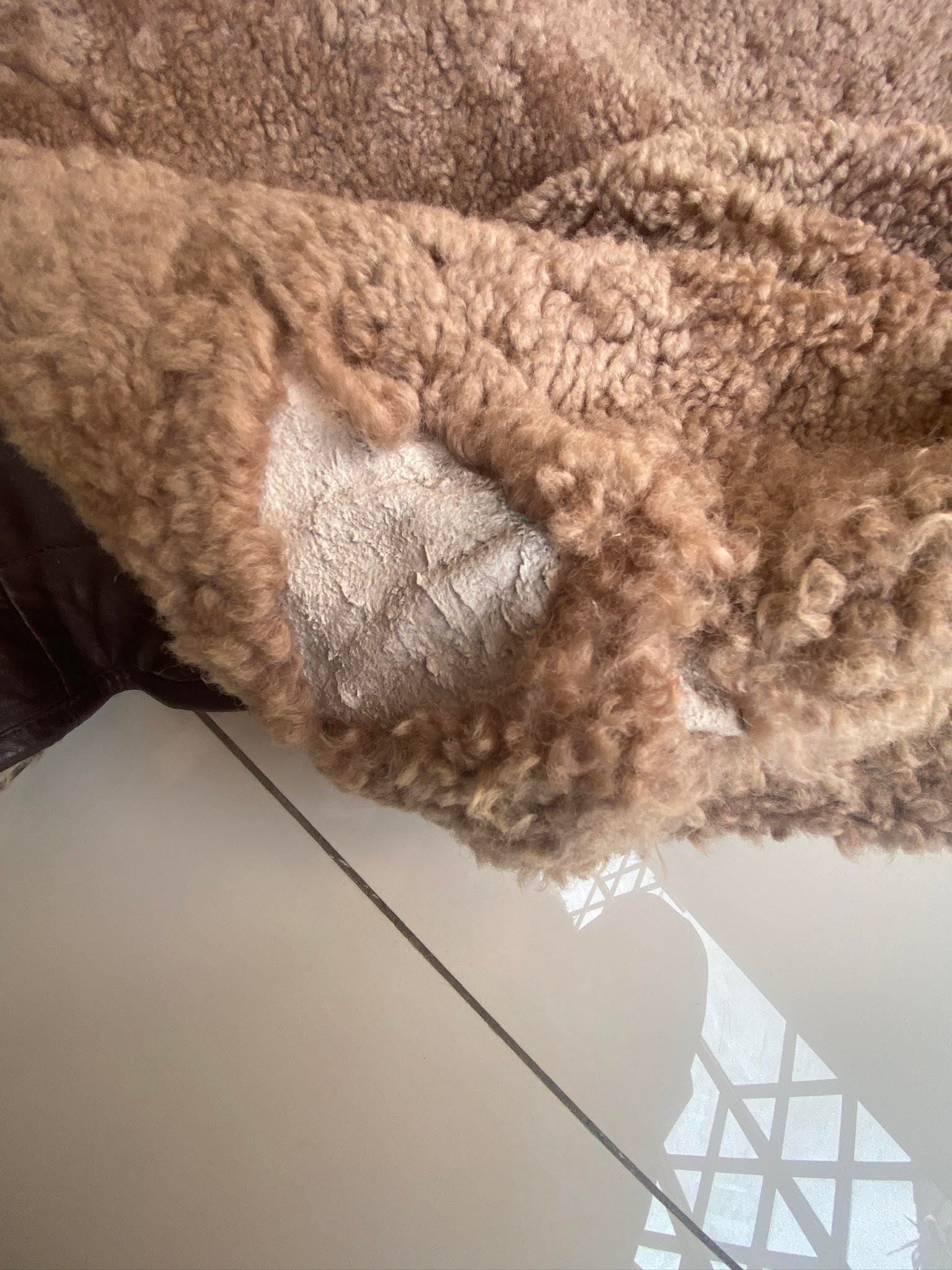 my dog niece ate my coat by Khanya