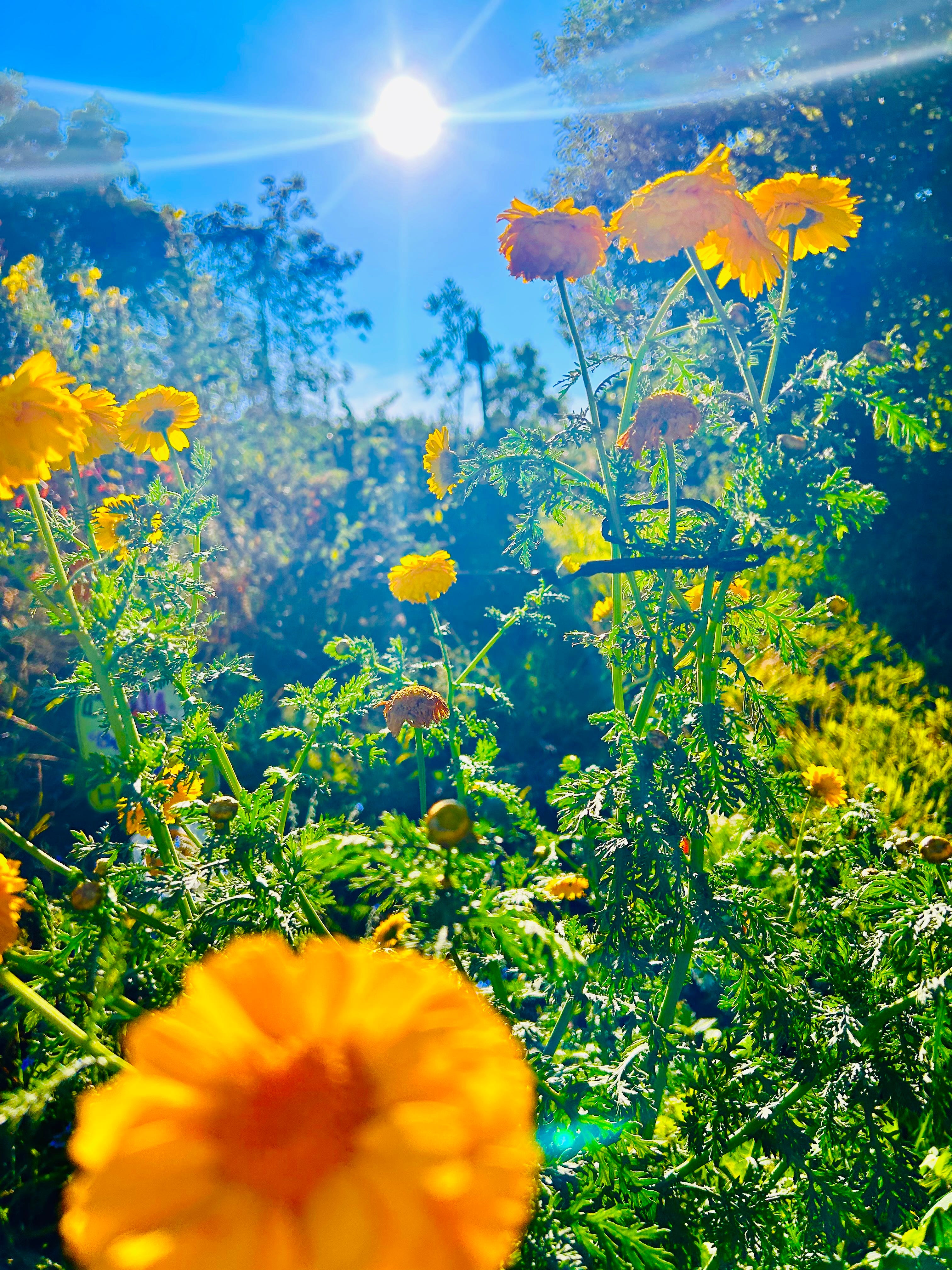 Failure of all Humanity by Glenn Donaldson