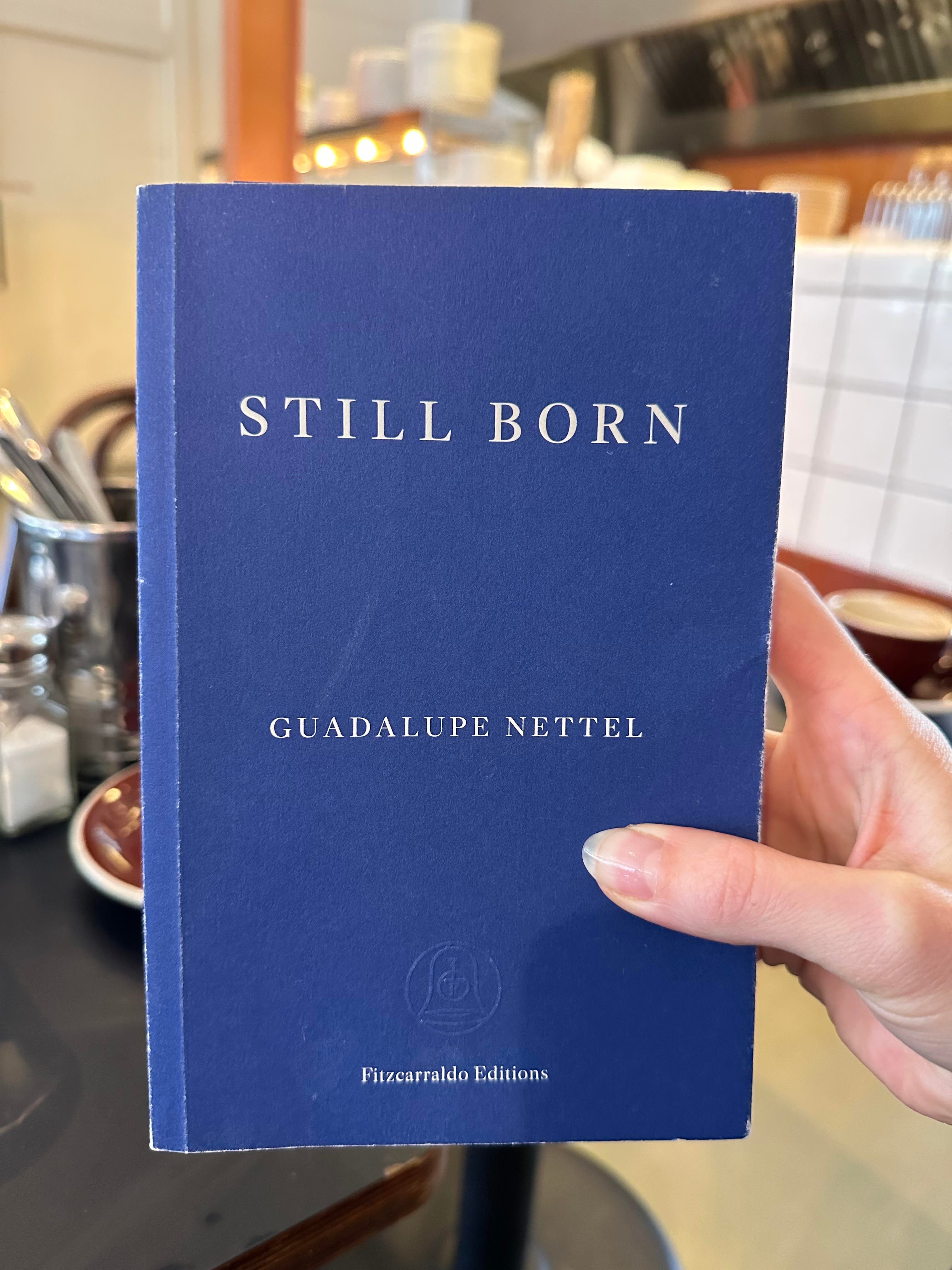 Still Born by Guadalupe Nettel