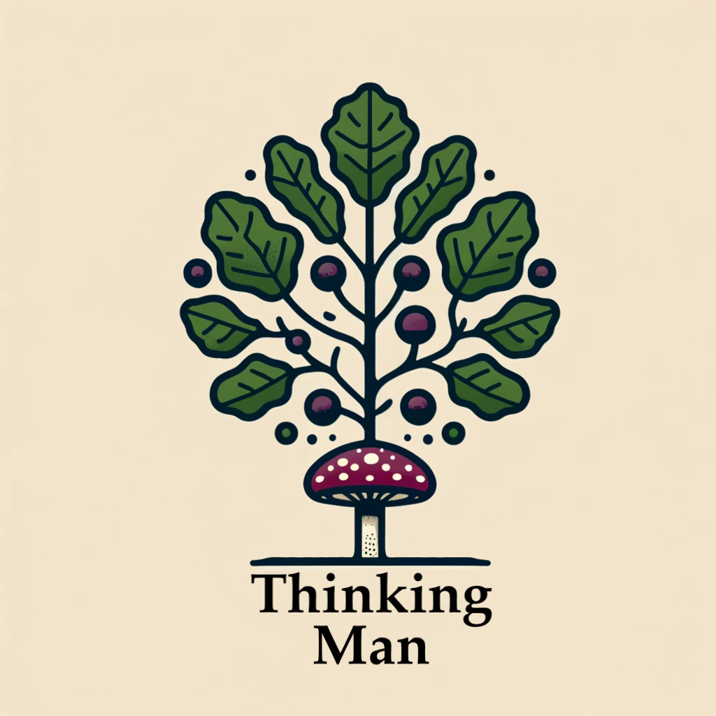Artwork for Thinking Man