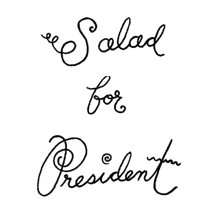Artwork for Salad for President Substack