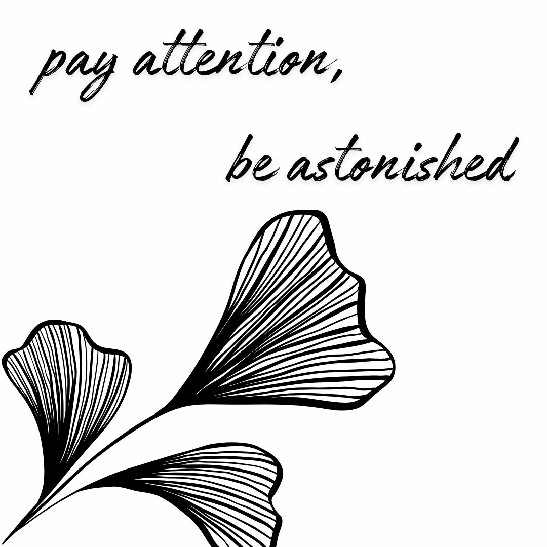 Pay Attention, Be Astonished