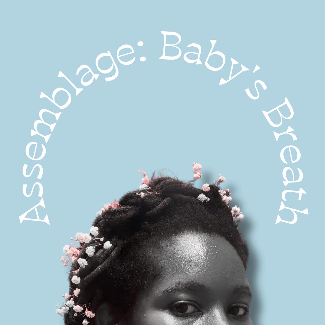 Artwork for Assemblage: Baby's Breath