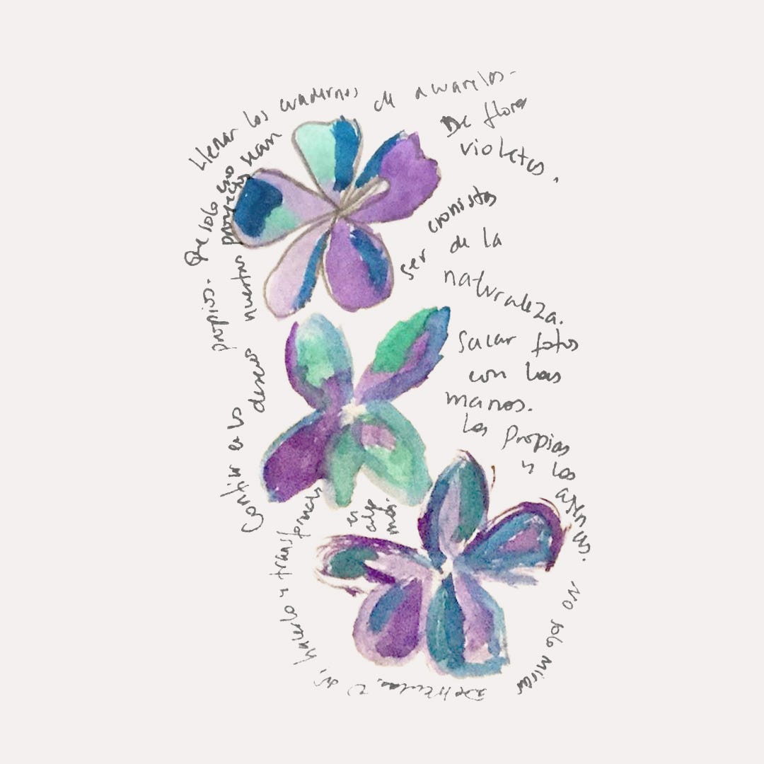 Artwork for violetas las flores