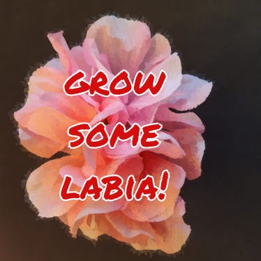 Artwork for Grow Some Labia! 