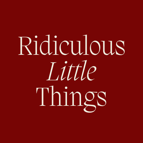 Artwork for Ridiculous Little Things