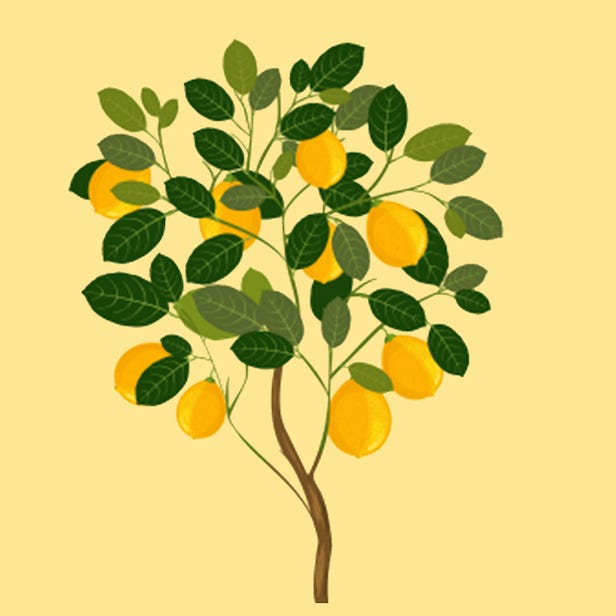 Artwork for The Lemon Tree Mindset \ud83c\udf33\ud83c\udf4b