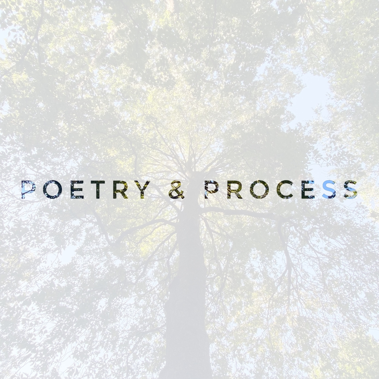 Artwork for Poetry & Process