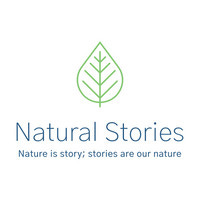 Natural Stories logo