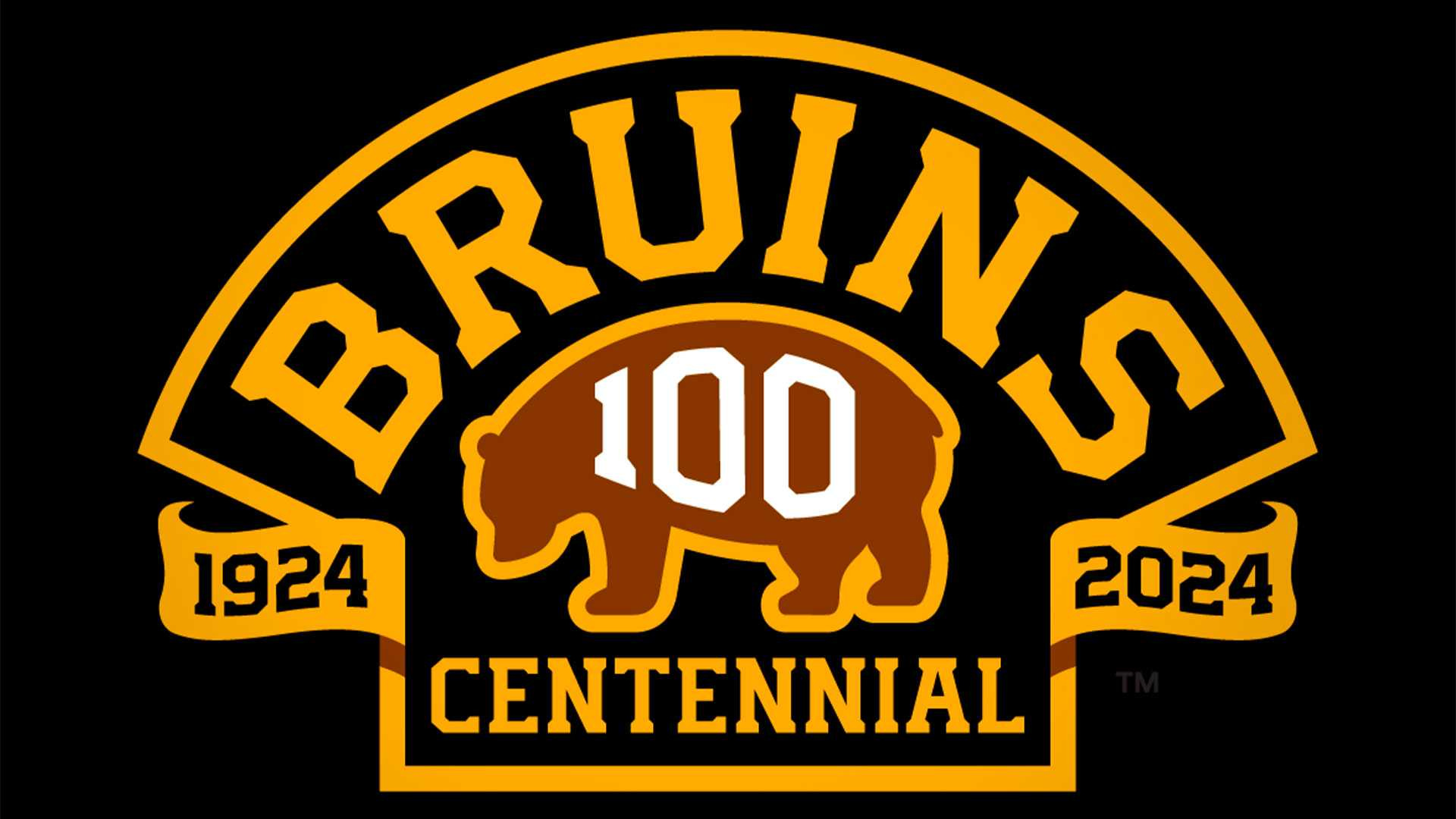 Bruins Centennial Official Game Puck