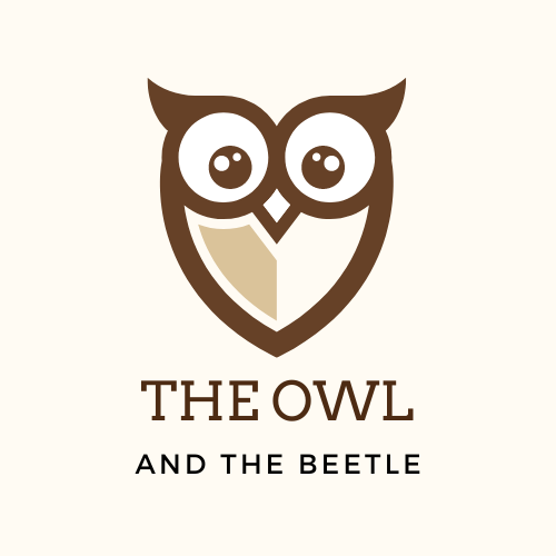 Artwork for The Owl and The Beetle