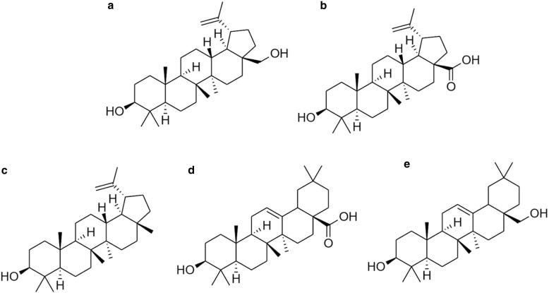 Medicinal Plants in Dermatology: Filsuvez (Birch Triterpenes)