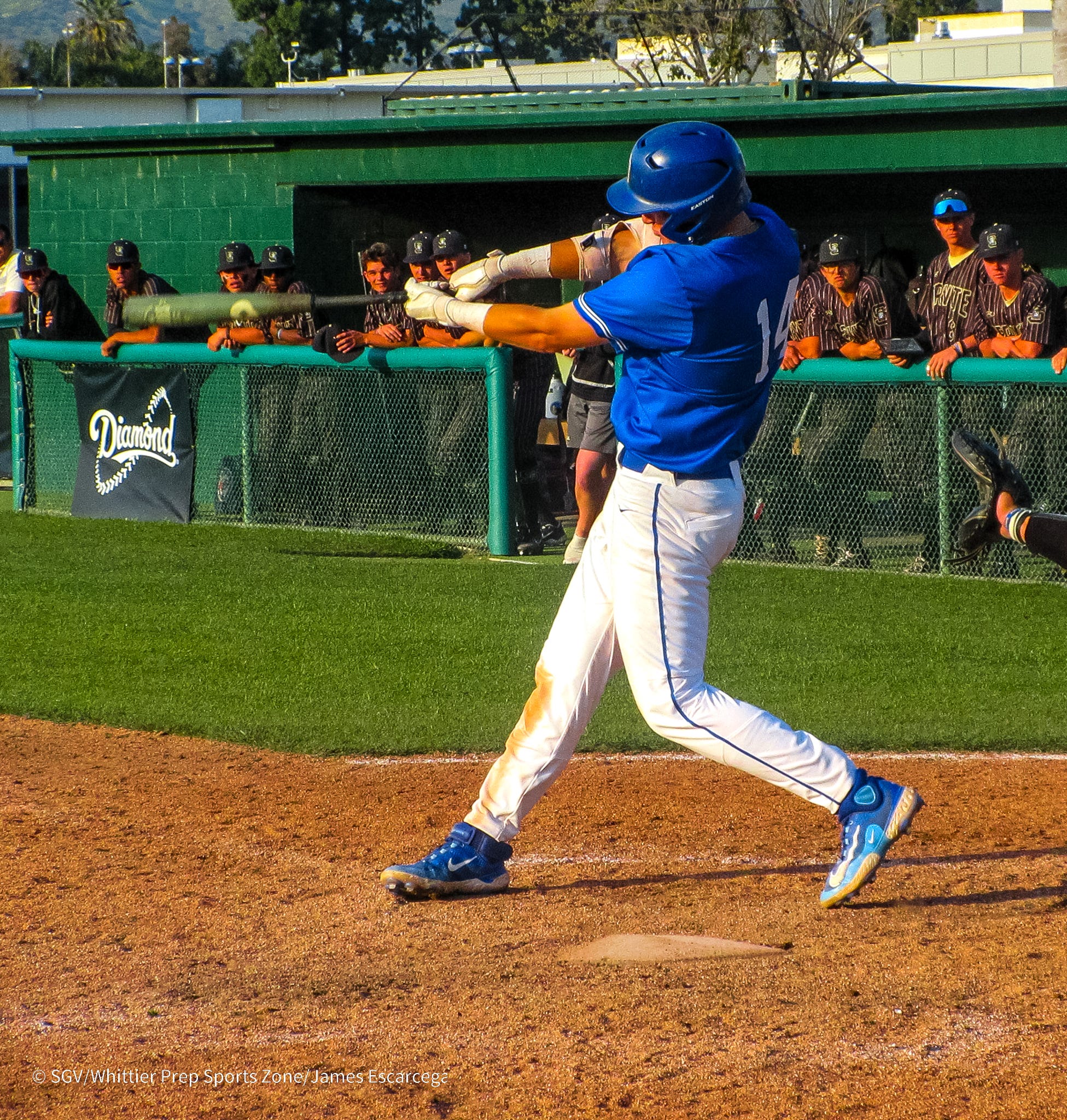 Press-Telegram CIF-SS baseball playoff preview; wild card and