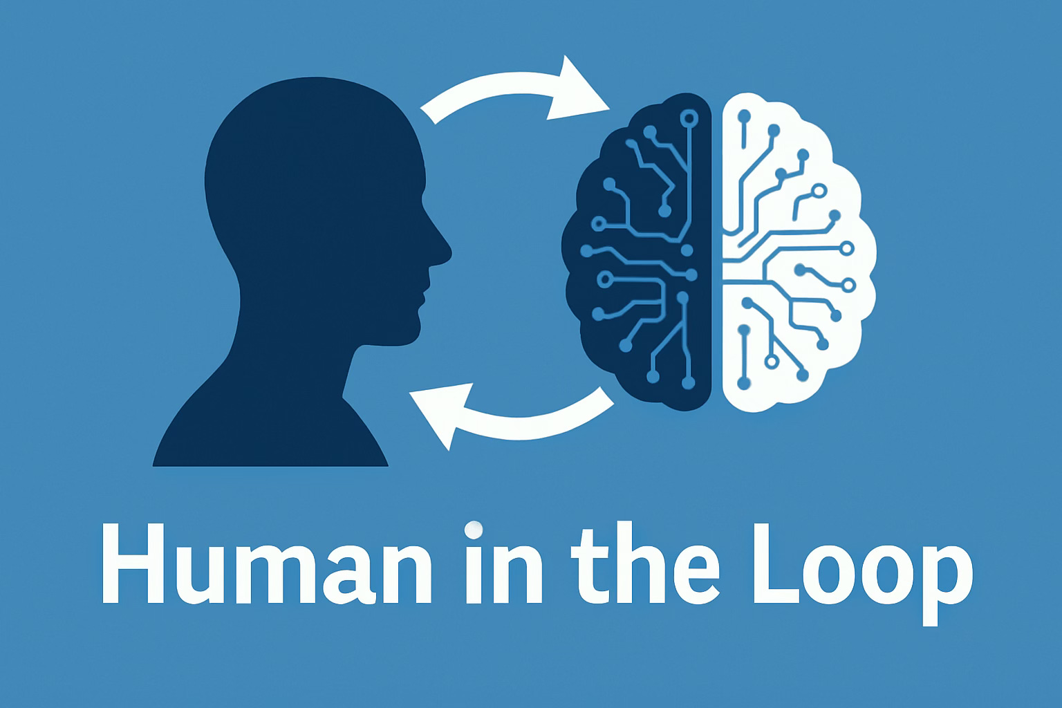 Human in the Loop