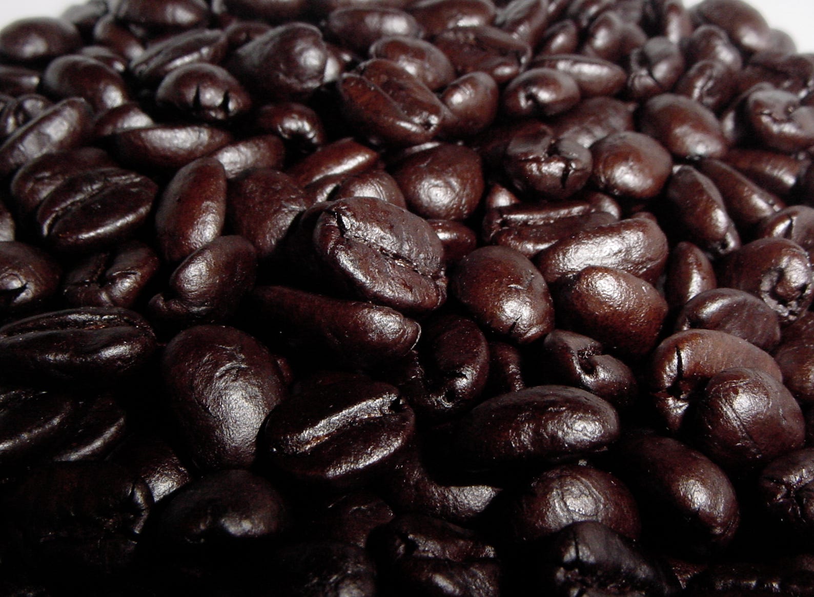 thoughtful dark roast