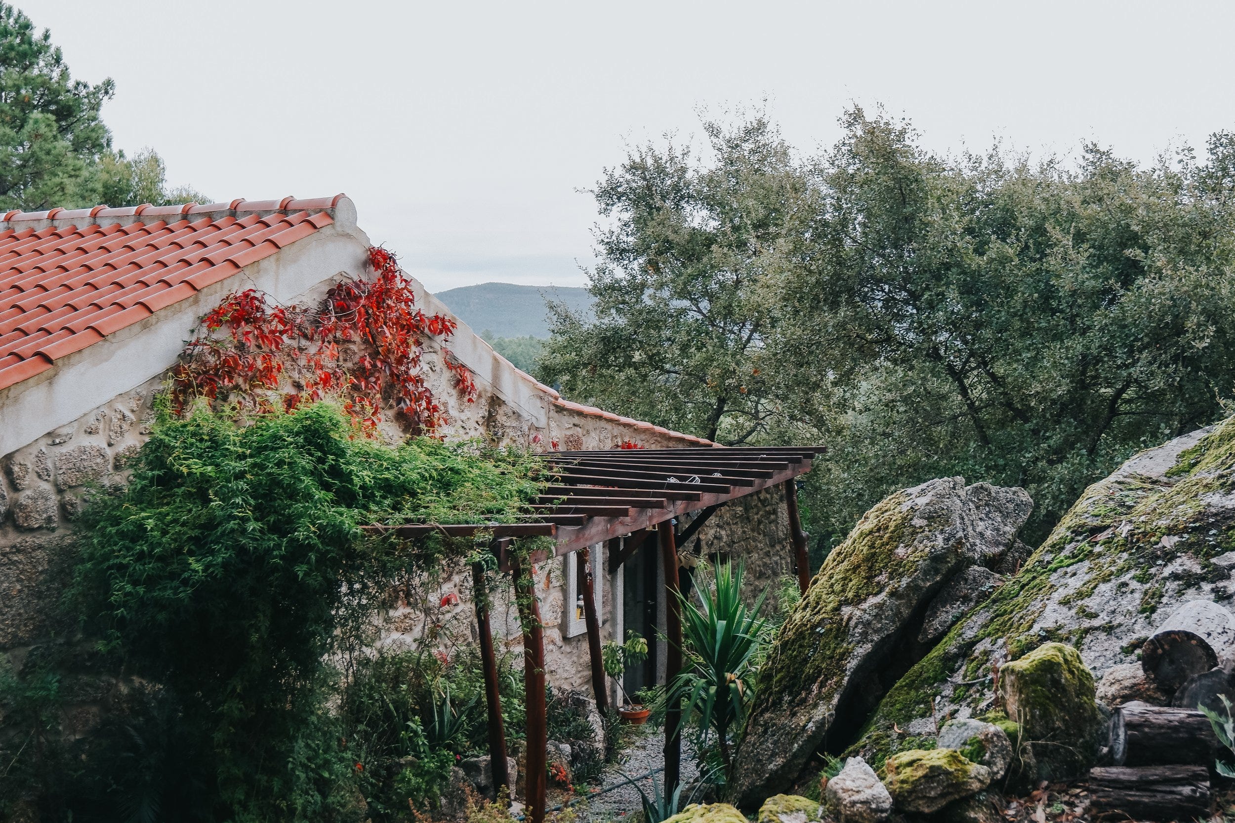 Autumn postcards by Cat transmissions from the hill