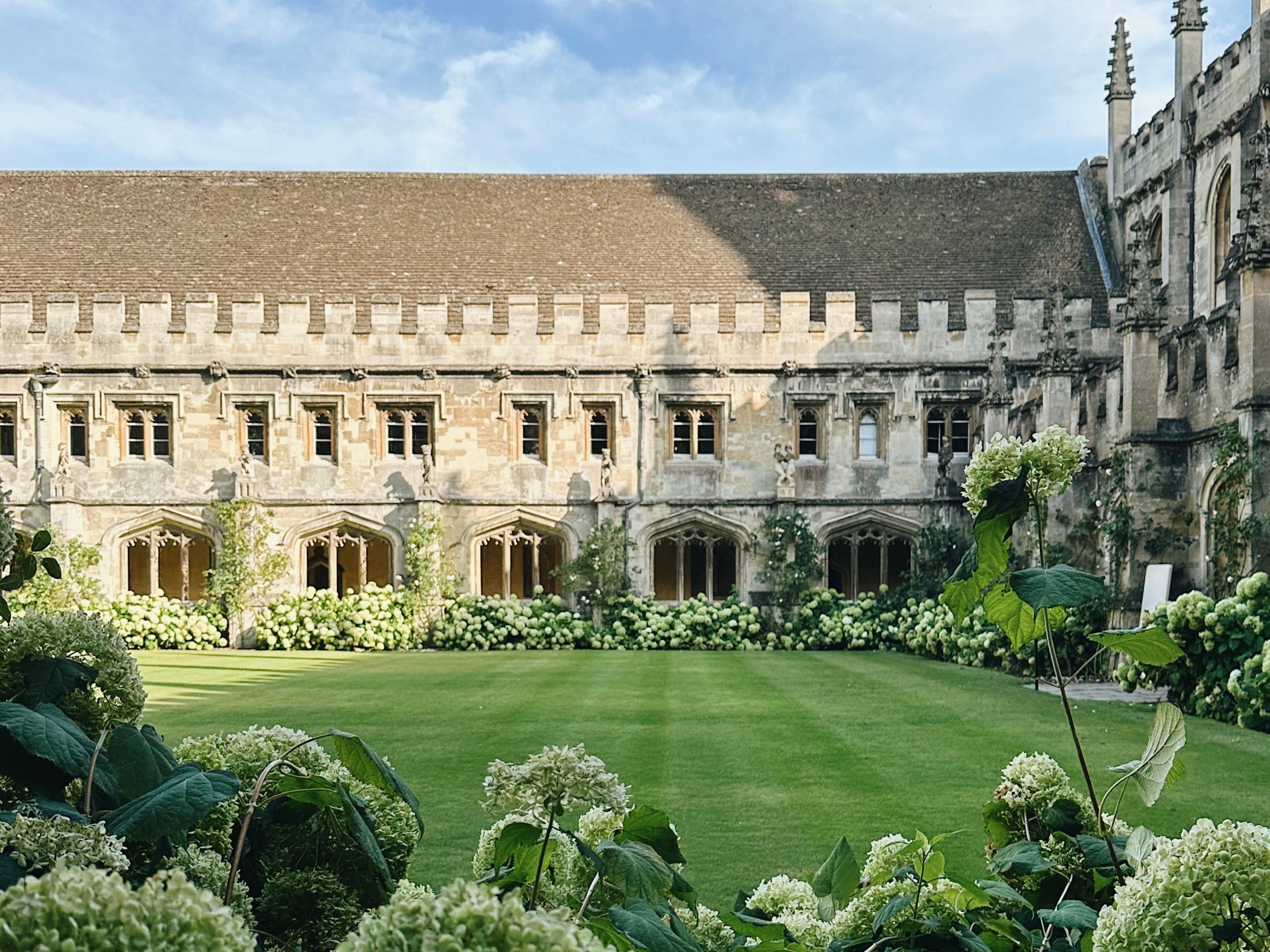 Magdalen College Rugby Adult's Black Leisure Shorts