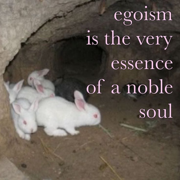 Thoughts while I suffer honey’s Substack