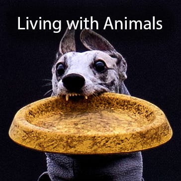 Living with Animals logo