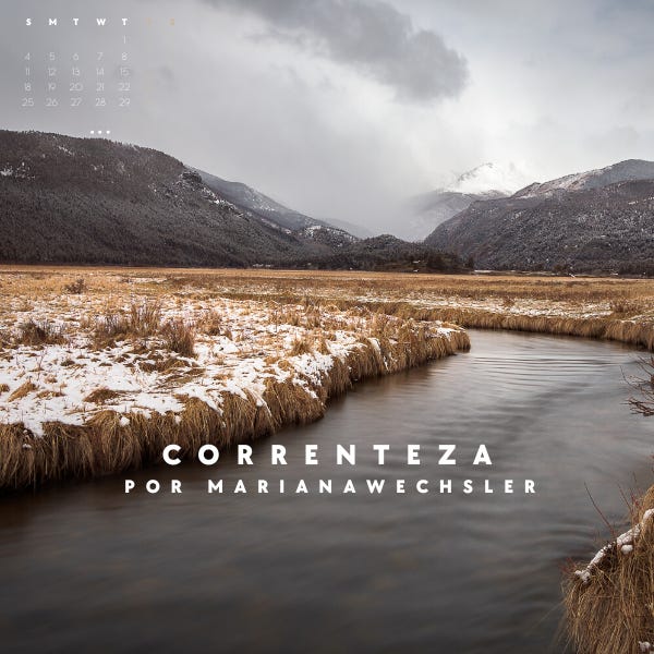 Artwork for Correnteza