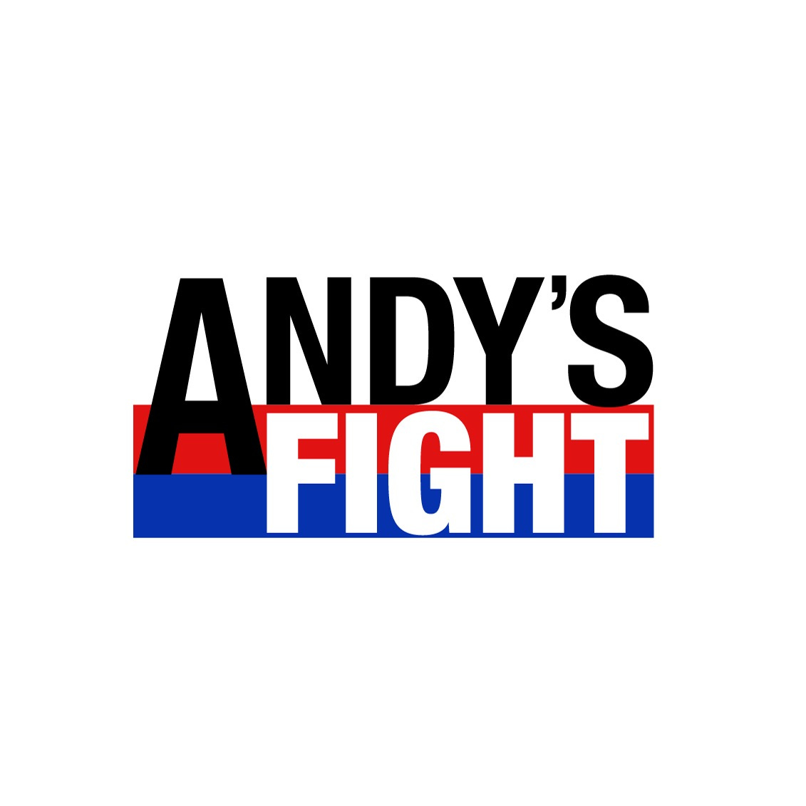 Artwork for Andy's Fight