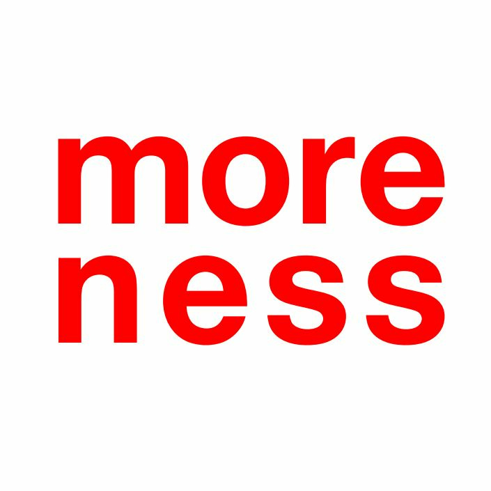 MORENESS logo