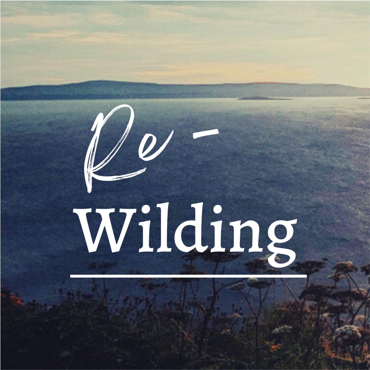 Rewilding