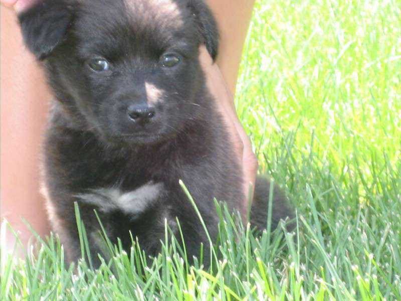 The Grief Brief The BMR Edition Roshni’s Substack