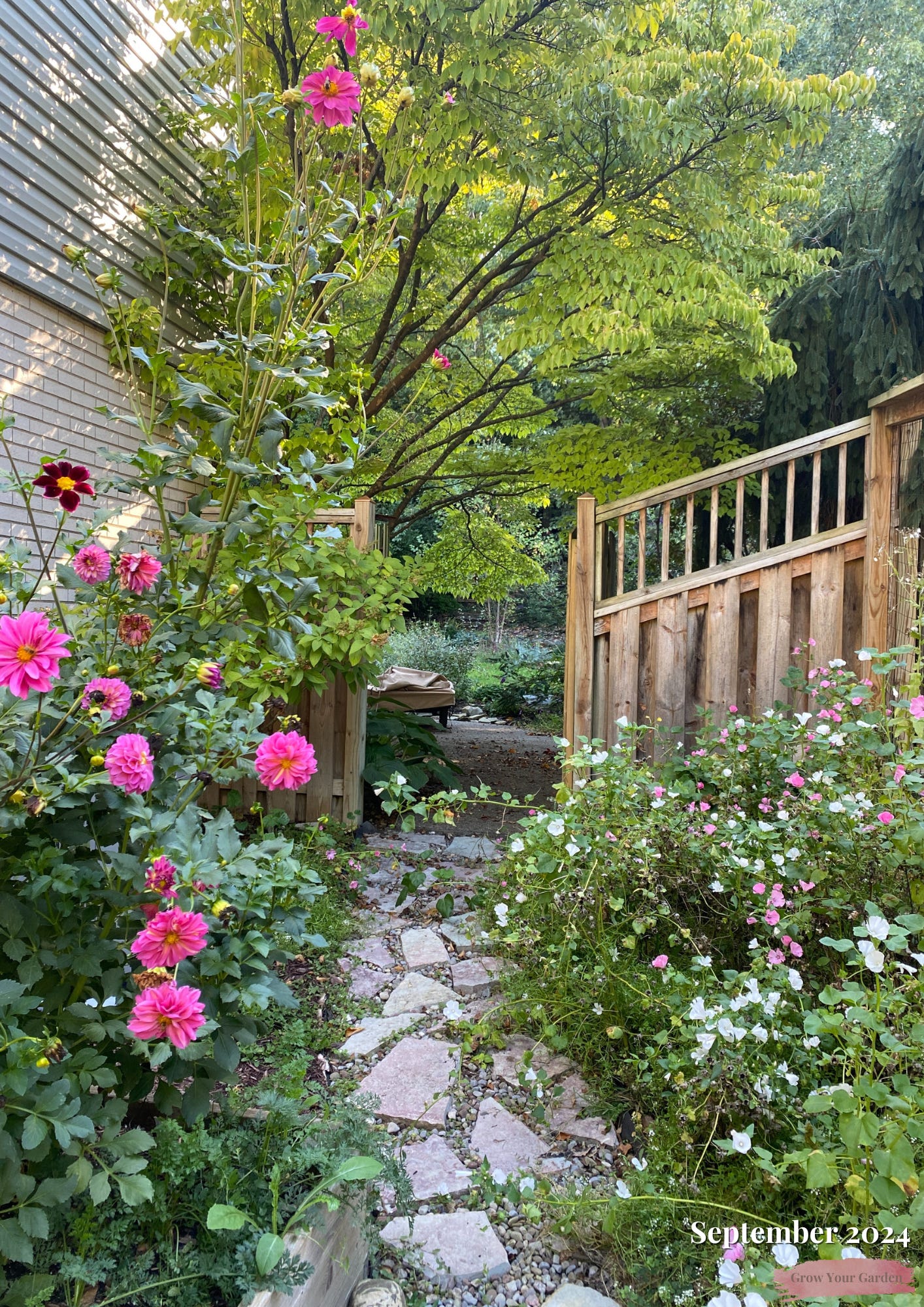 The Garden in September 2024 by Perrico Gardens