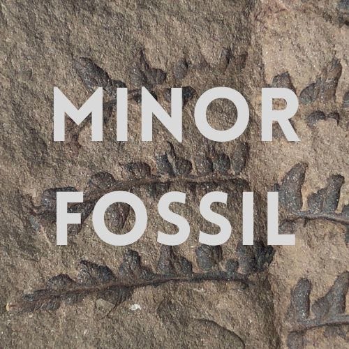 Artwork for Minor Fossil