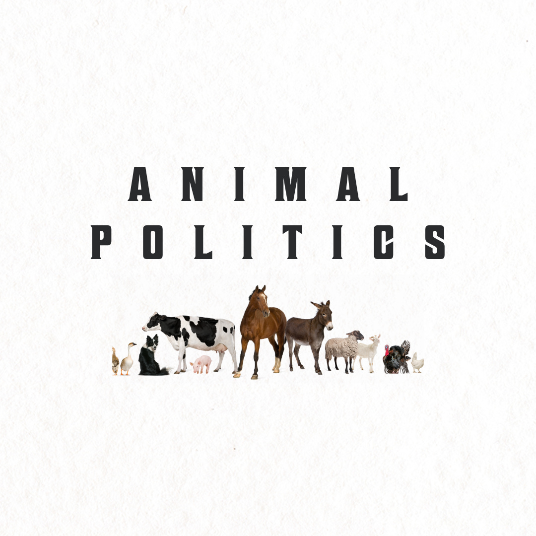 Animal Politics  logo