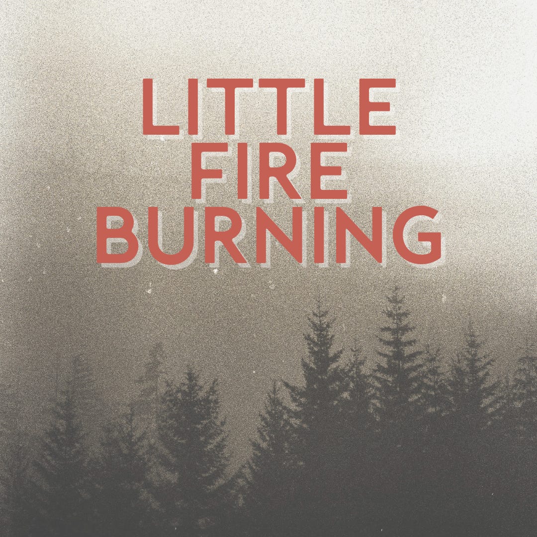 Artwork for Little Fire Burning