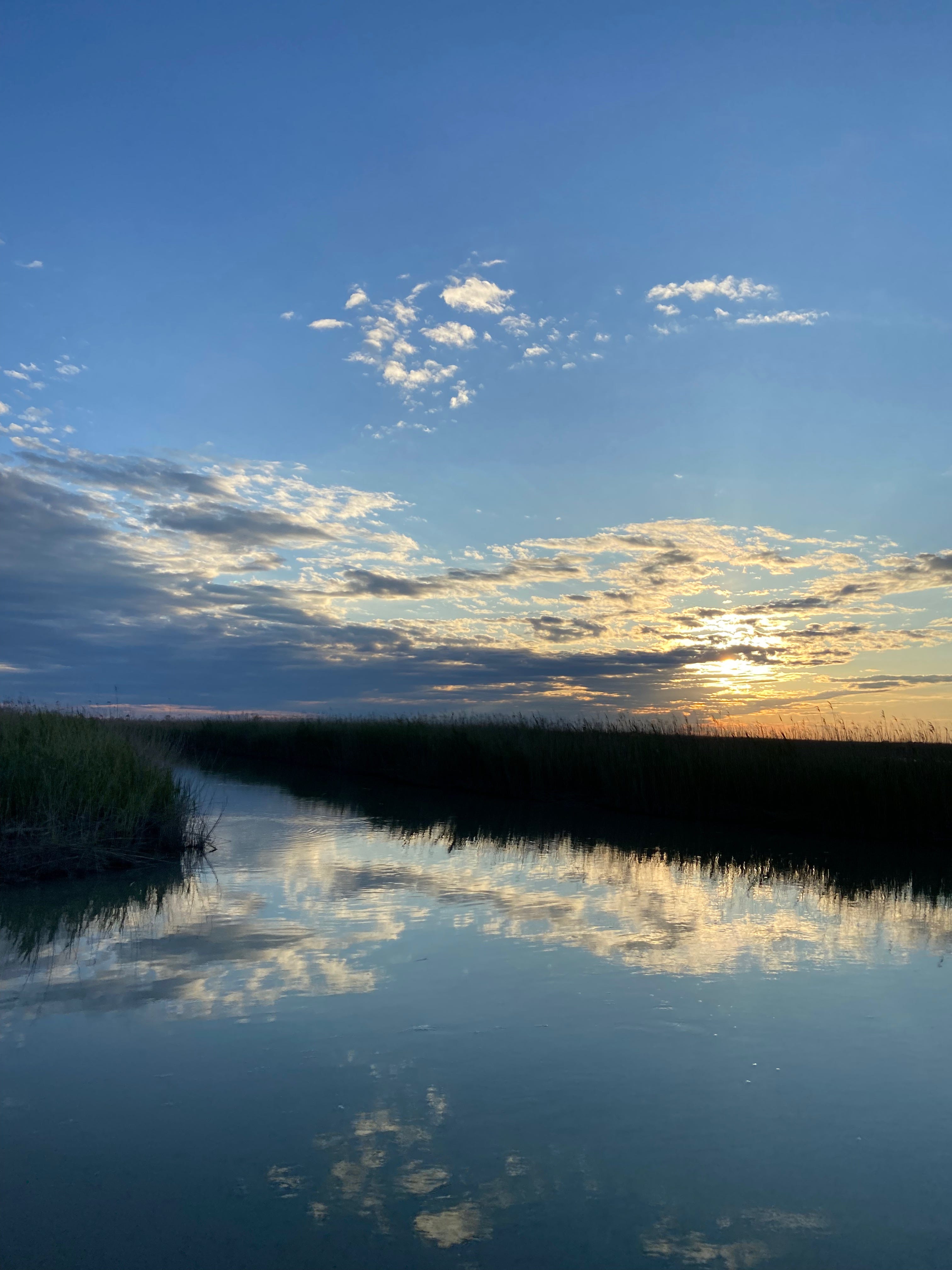 Chapter 10: Lifeline, A Water Storytelling Project