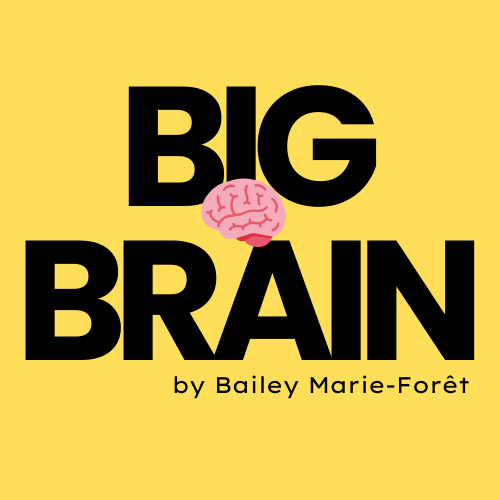 Artwork for Big Brain