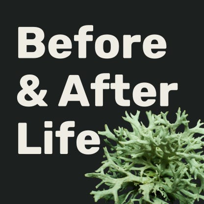 Before & After Life logo