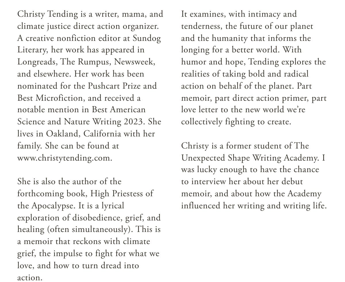 UPDATED] An Interview with Christy Tending: “I keep thinking about  violence.”